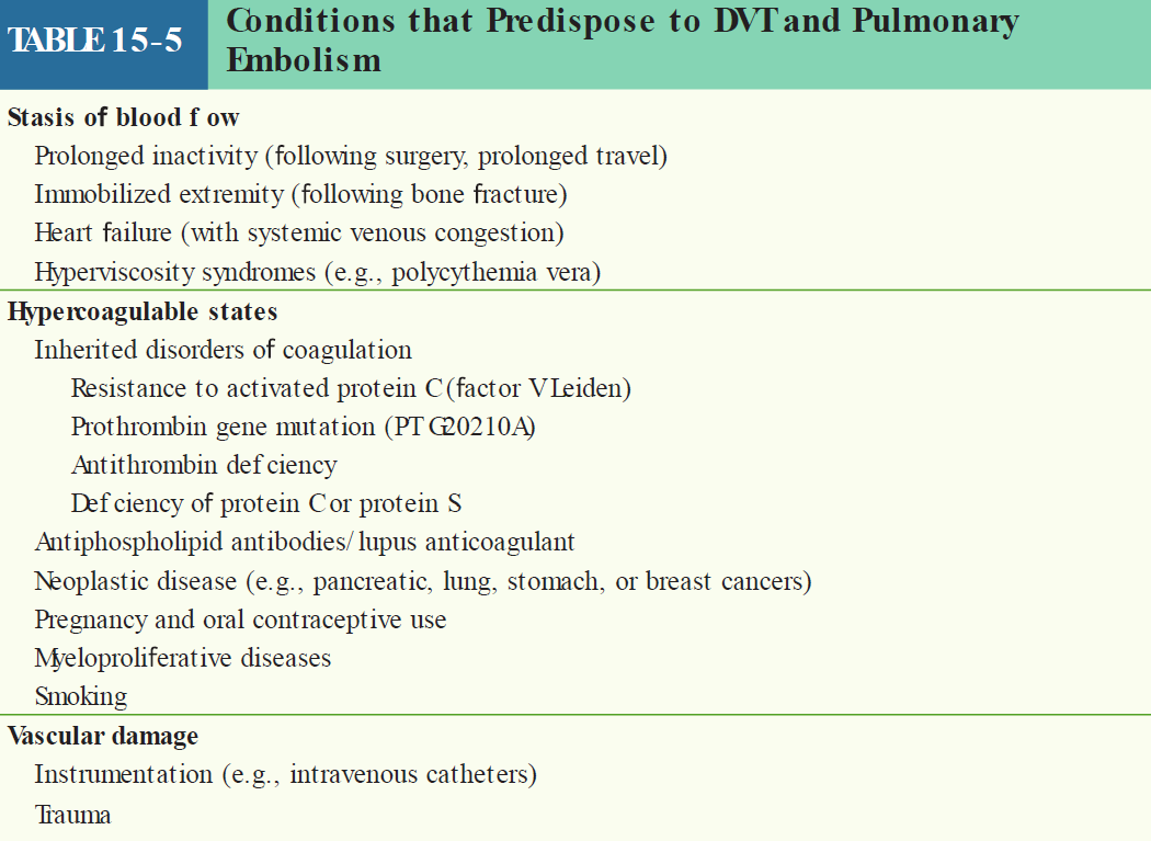 A clinical reference table titled "TABLE 15-5 Conditions that Predispose to DVT and Pulmonary Embolism" organized into three primary categories of Virchow triad: 1. Stasis of blood flow (Prolonged inactivity such as following surgery or prolonged travel, Immobilized extremity following bone fracture, Heart failure with systemic venous congestion, Hyperviscosity syndromes e.g., polycythemia vera); 2. Hypercoagulable states (Inherited disorders of coagulation such as Resistance to activated protein C/factor V Leiden, Prothrombin gene mutation PT G20210A, Antithrombin deficiency, and Deficiency of protein C or protein S; Antiphospholipid antibodies/lupus anticoagulant; Neoplastic disease e.g., pancreatic, lung, stomach, or breast cancers; Pregnancy and oral contraceptive use; Myeloproliferative diseases; Smoking); and 3. Vascular damage (Instrumentation e.g., intravenous catheters; Trauma).
